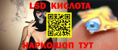 PSILOCYBIN Кулебаки
