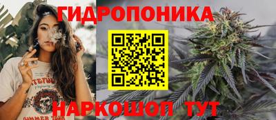 PSILOCYBIN Кулебаки